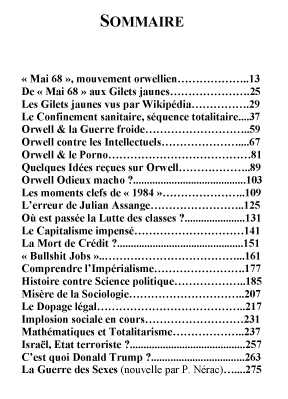 gilets jaunes,george orwell,essai,amazon,big brother,1984
